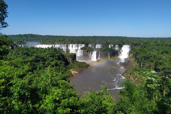 The whole line of falls set into unbroken forest