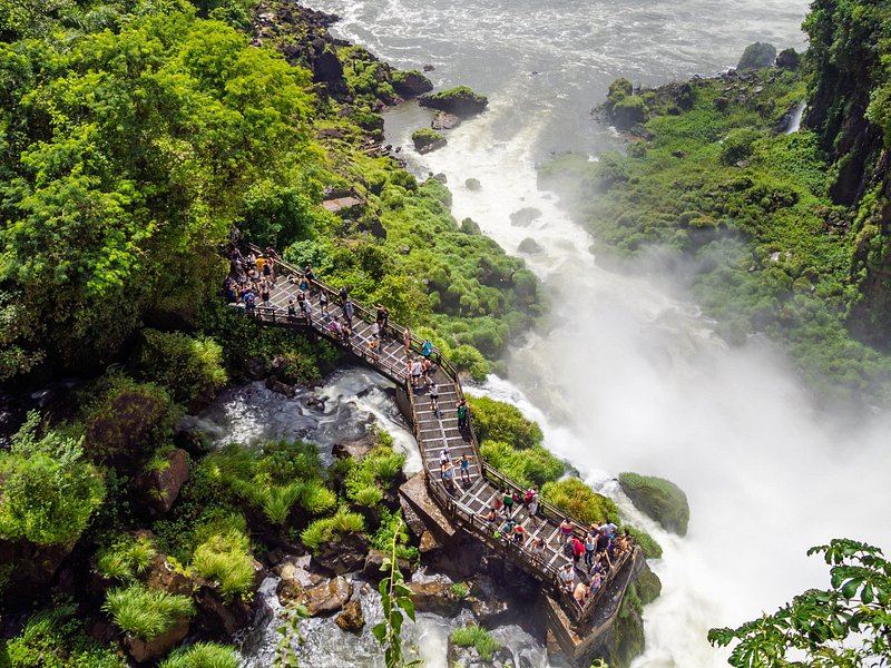The falls seen through the leaves of the Atlantic Forest