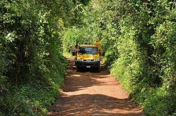 A jungle truck on the red laterite track down to the river