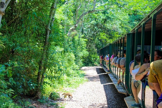 The Tren Ecológico de la Selva at its platform on the Argentine side